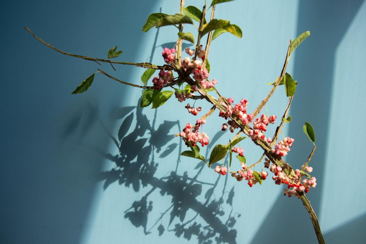 Het Groene Bed オイルスコート エクステリア 写真
